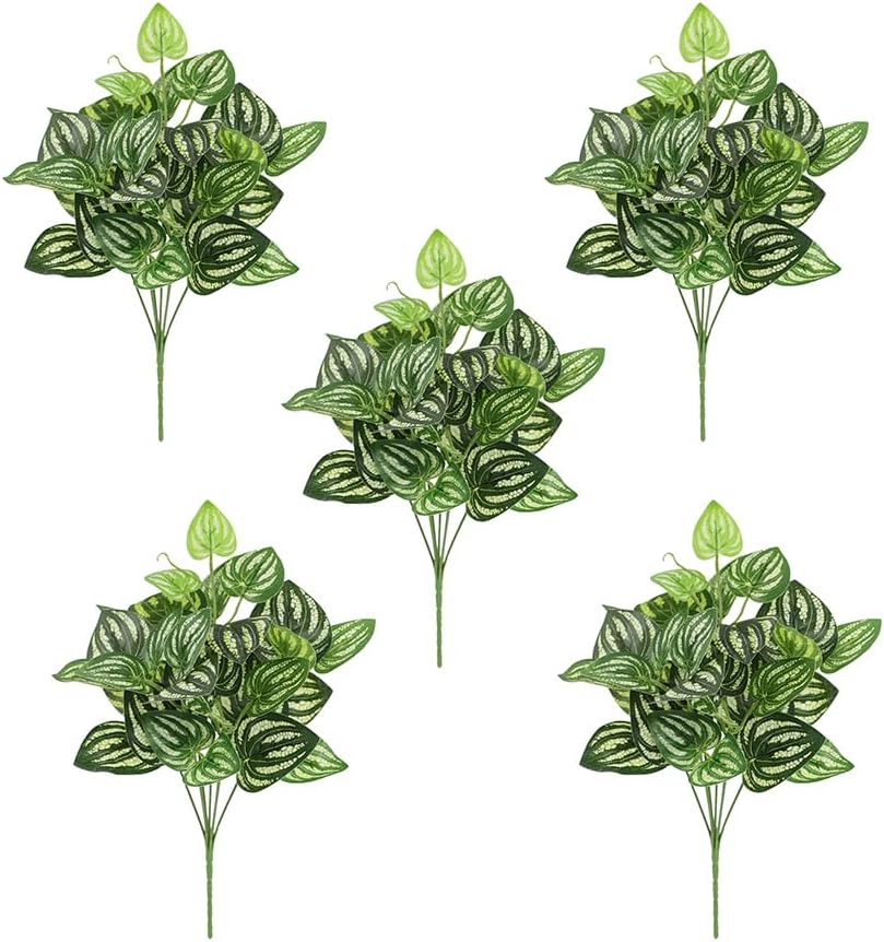 Peperomia Watermelon - 5 uds sandía Peperomia planta Artificial