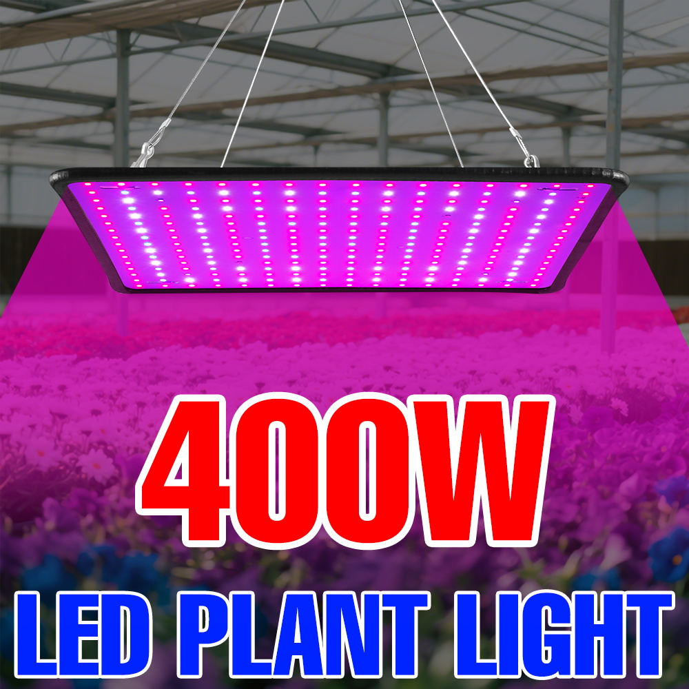Luz LED de cultivo de 400W, ta - Echeveria Succulent reseña y precio