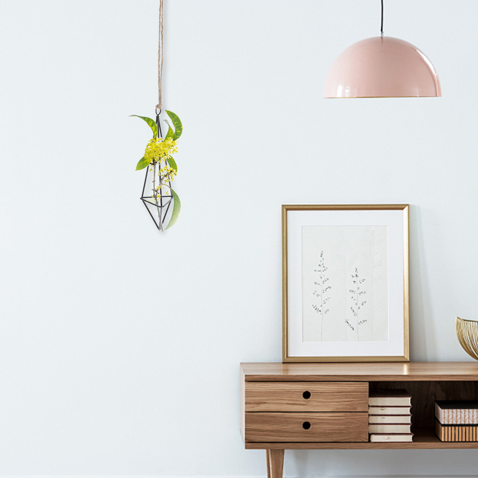Soporte de metal para plantas  - Spider Plant Hanging reseña y precio