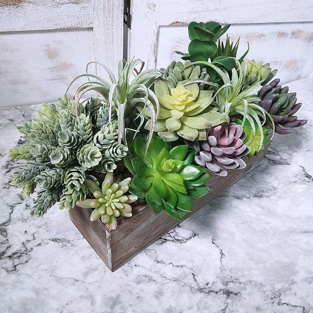Paquete de 15 Suculentas Artif - Echeveria Succulent reseña y precio