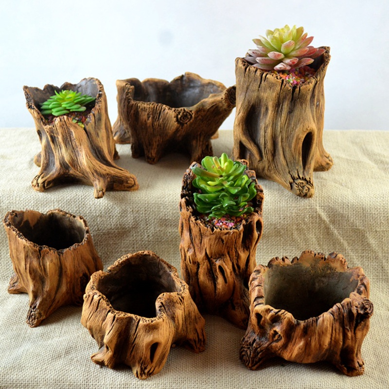 Estacas de madera de imitación - Echeveria Succulent reseña y precio