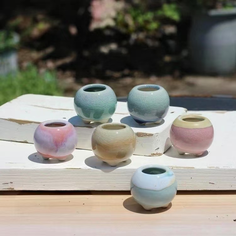 6 uds Mini maceta suculentas p - Echeveria Succulent reseña y precio